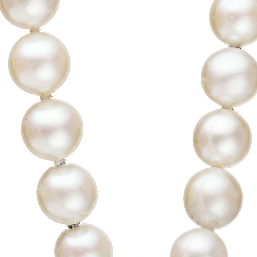 Premium Warm White Akoya Pearls 6.5-7mm